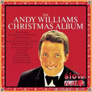 Andy Williams - It's the most wonderful time of the year