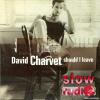 David Charvet - Should I leave